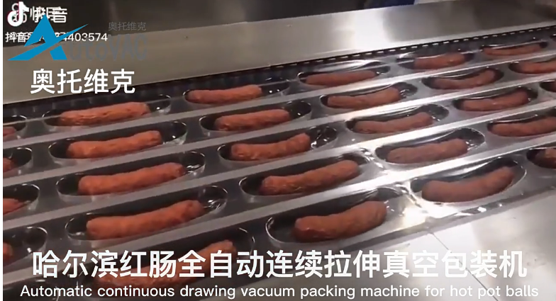 哈爾濱紅腸拉伸膜真空包裝機(jī)